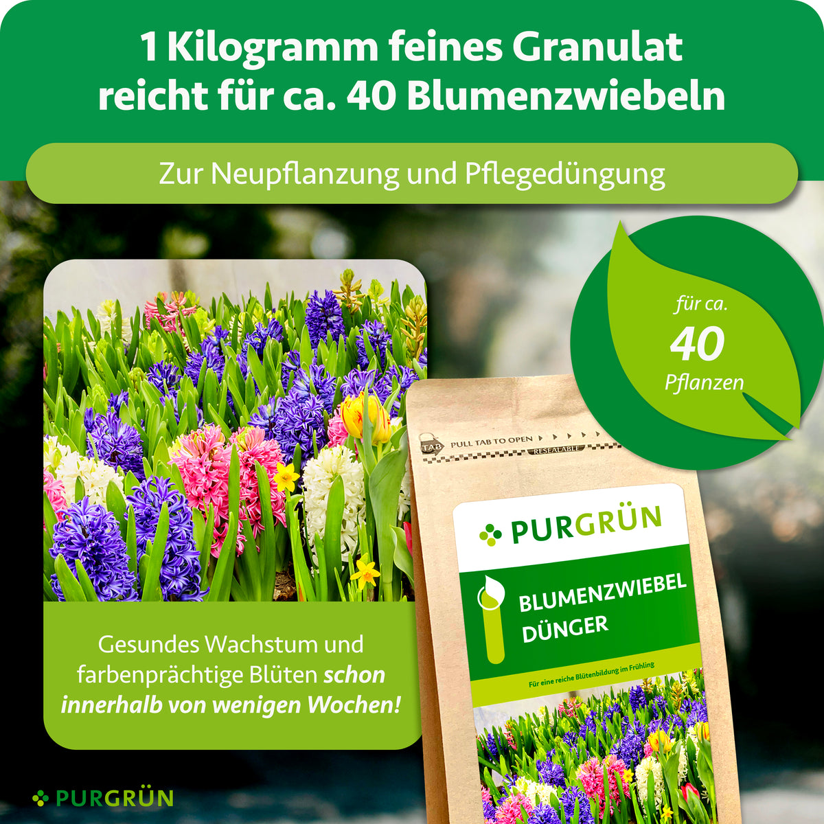 Ein Kilogramm feines Granulat reicht für ca. 40 Blumenzwiebeln und eignet sich zur Neupflanzung und Pflegedüngung.