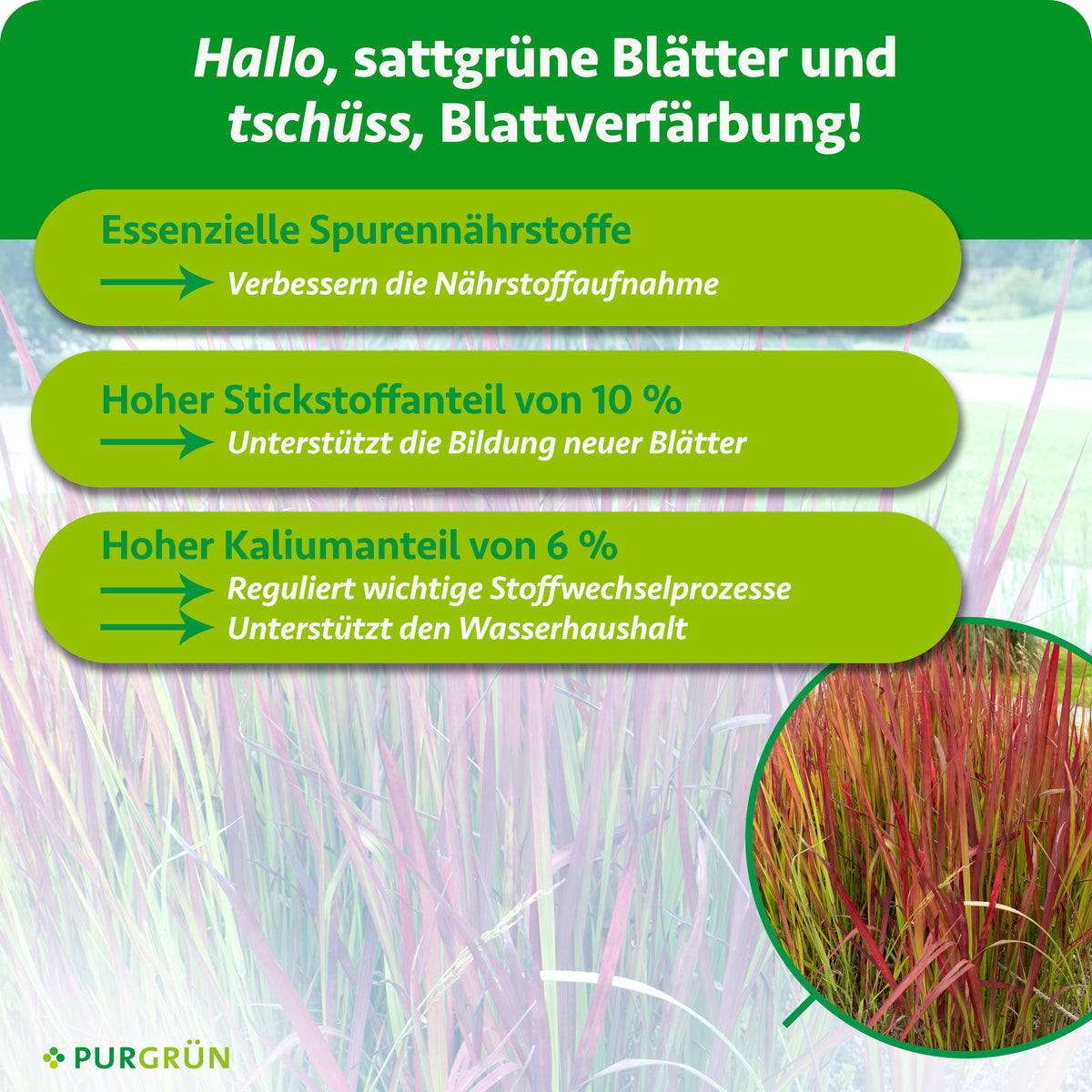 Essenzielle Spurennährstoffe verbessern die Nährstoffaufnahme; 10 % Stickstoff unterstützen die Bildung neuer Blätter, 6 % Kalium regulieren Stoffwechselprozesse und den Wasserhaushalt.
