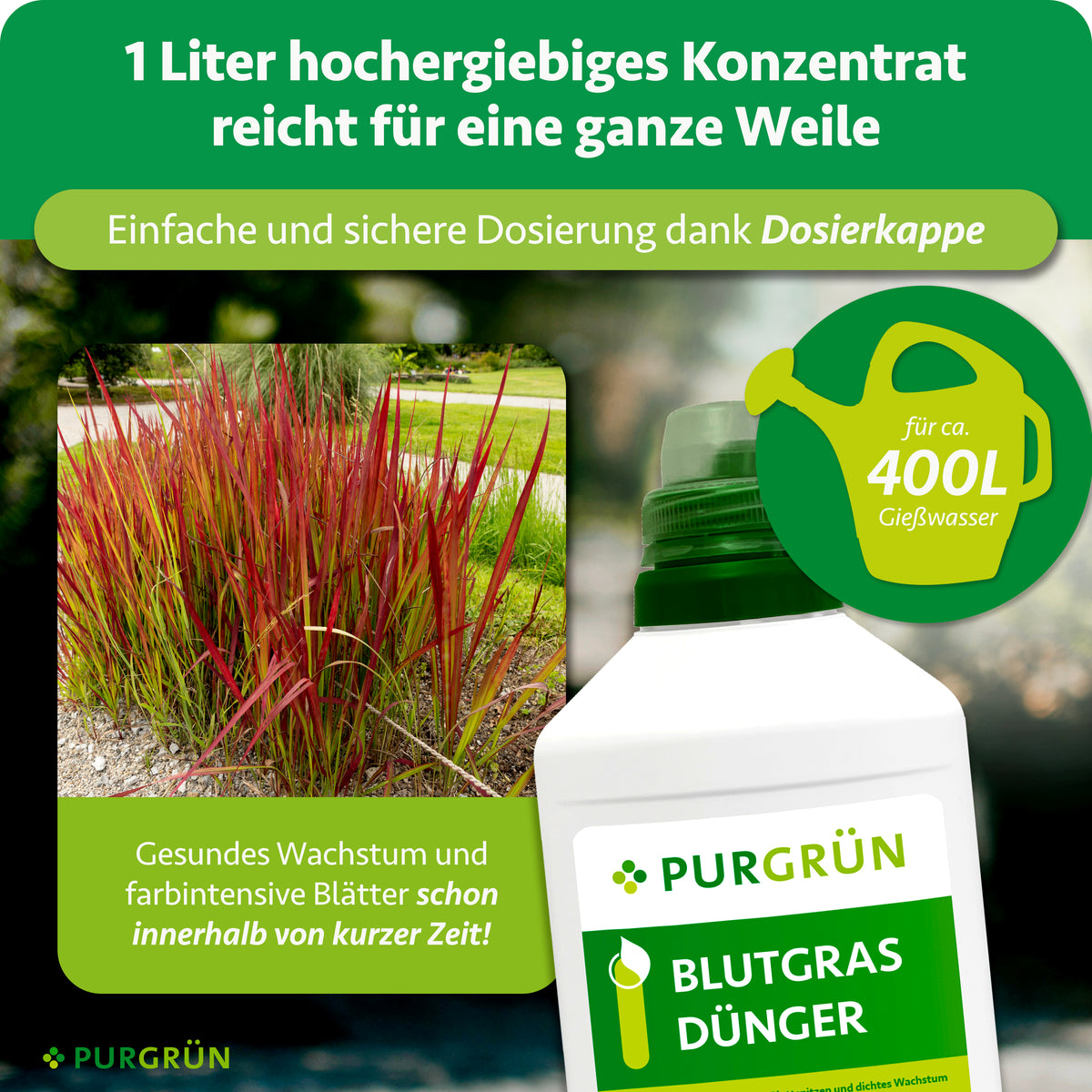 1 Liter Konzentrat reicht für ca. 400 Liter Gießwasser und lässt sich mit der Dosierkappe einfach dosieren; hervorgehoben werden gesundes Wachstum und farbintensive Blätter innerhalb kurzer Zeit.