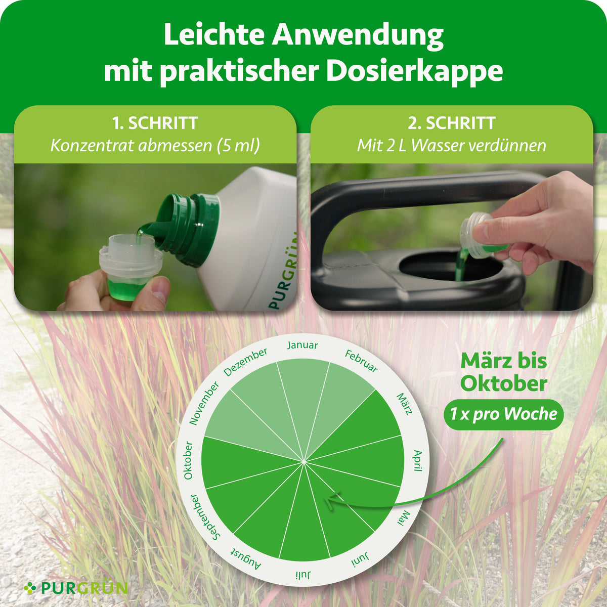 Anwendung: 5 ml Konzentrat mit der Dosierkappe abmessen, mit 2 L Wasser verdünnen und von März bis Oktober 1x pro Woche düngen.