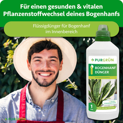 Flüssigdünger für einen gesunden, vitalen Pflanzenstoffwechsel von Bogenhanf im Innenbereich; daneben ein lächelnder Gärtner und die 1-Liter-Flasche.