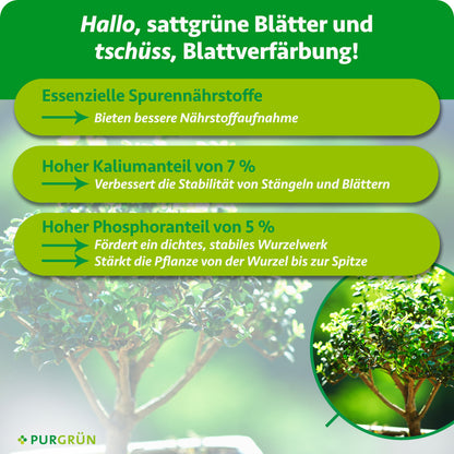 Essenzielle Spurennährstoffe verbessern die Nährstoffaufnahme; 7 % Kalium erhöhen die Stabilität von Stängeln und Blättern. 5 % Phosphor fördern ein dichtes, stabiles Wurzelwerk und stärken die Pflanze von der Wurzel bis zur Spitze.