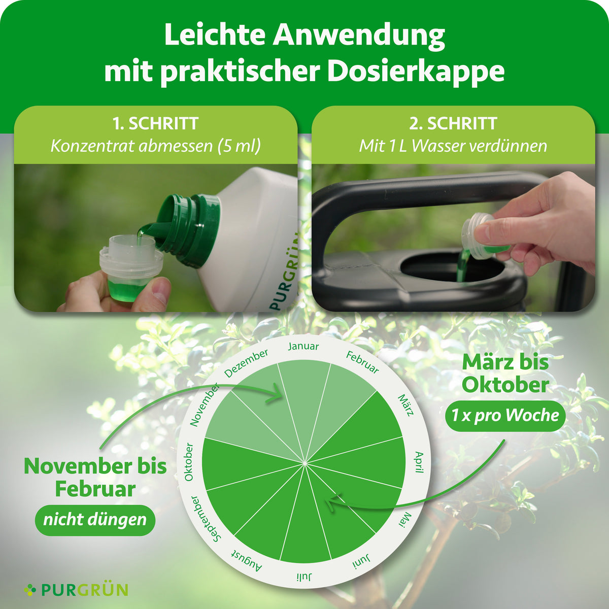 5 ml Konzentrat abmessen und mit 1 Liter Wasser verdünnen; von März bis Oktober 1-mal pro Woche düngen, von November bis Februar nicht düngen.
