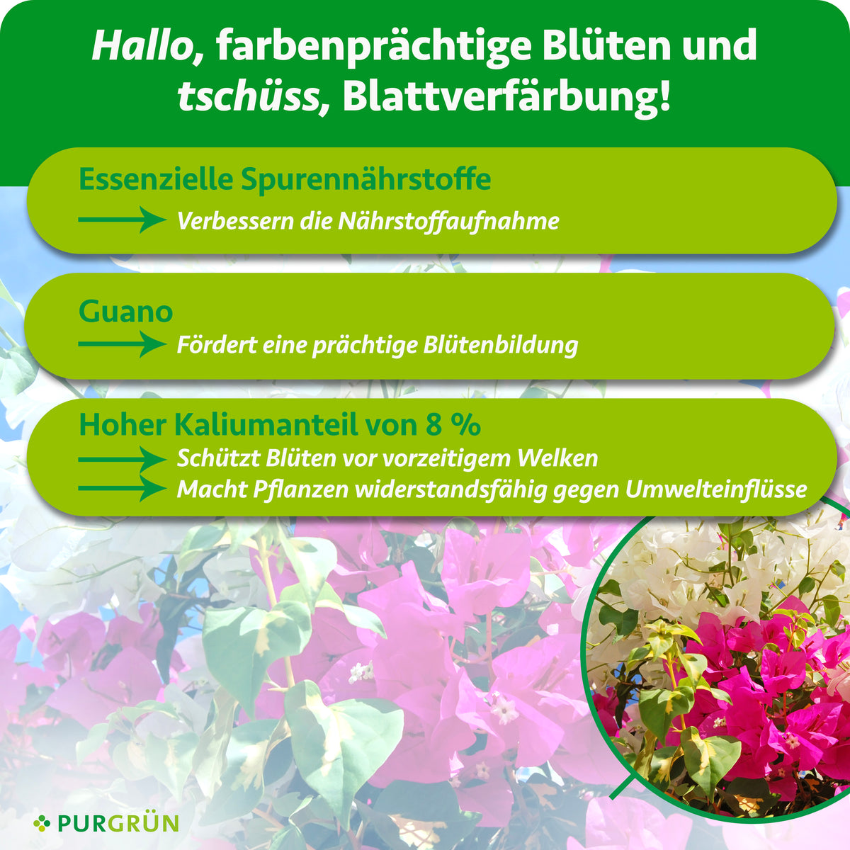 Essenzielle Spurennährstoffe verbessern die Nährstoffaufnahme, Guano fördert die Blütenbildung. 8 % Kalium schützen Blüten vor vorzeitigem Welken und stärken Pflanzen gegen Umwelteinflüsse.