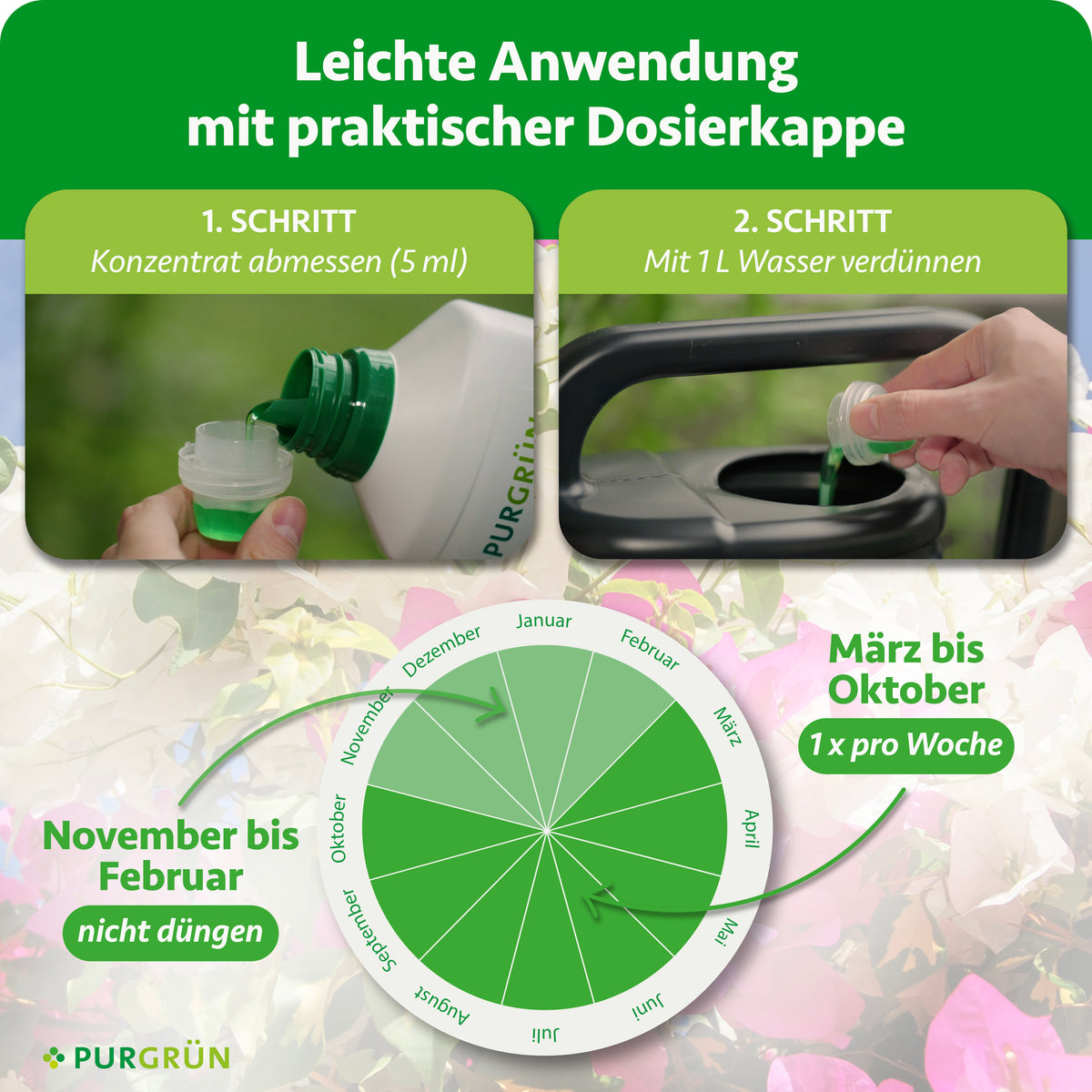 5 ml Konzentrat abmessen und mit 1 Liter Wasser verdünnen. Von März bis Oktober einmal pro Woche düngen, von November bis Februar nicht düngen.