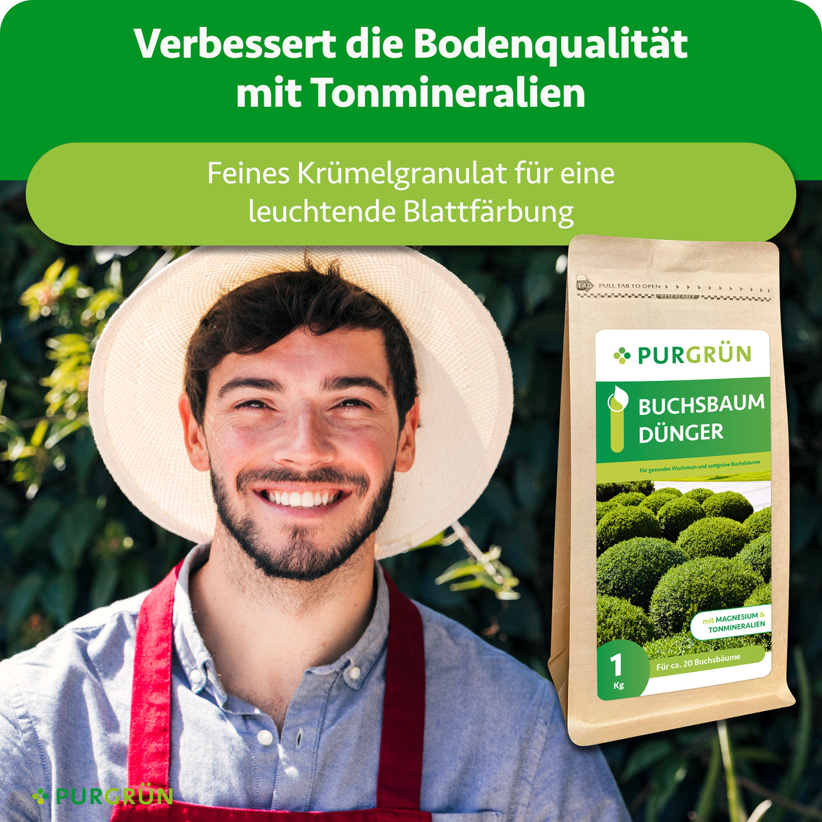 Ein Gärtner hält den Purgrün Buchsbaumdünger; Tonmineralien verbessern laut Infografik die Bodenqualität, feines Krümelgranulat unterstützt eine leuchtende Blattfärbung.