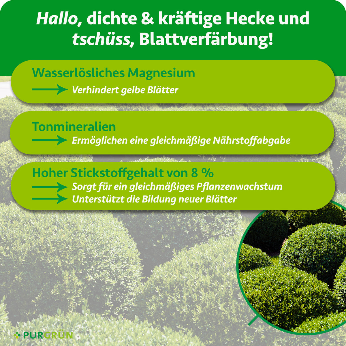 Wasserlösliches Magnesium verhindert gelbe Blätter, Tonmineralien ermöglichen eine gleichmäßige Nährstoffabgabe. 8 % Stickstoff fördern gleichmäßiges Wachstum und die Bildung neuer Blätter.