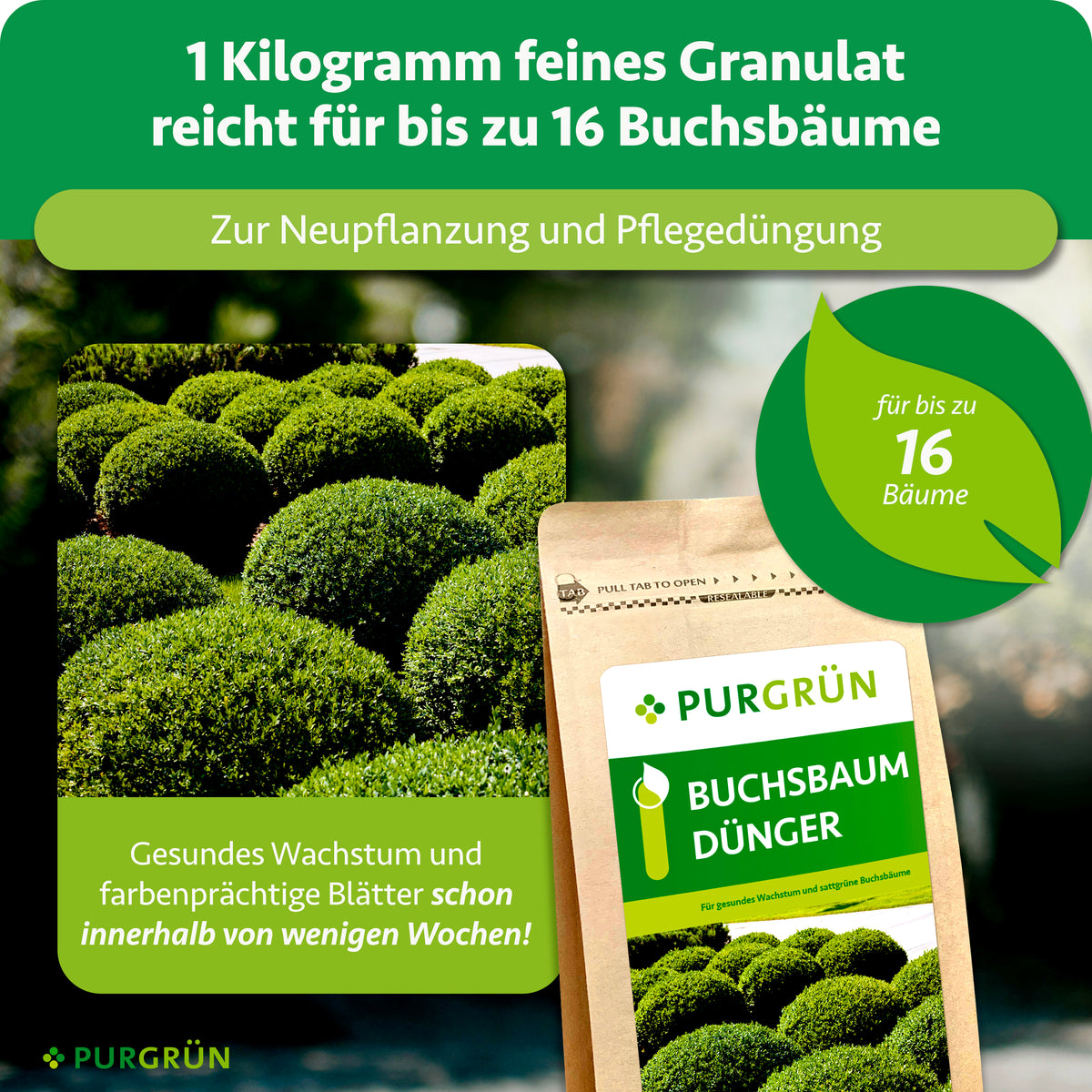 1 kg feines Granulat reicht für bis zu 16 Buchsbäume und ist zur Neupflanzung sowie Pflegedüngung vorgesehen; beworben werden gesundes Wachstum und farbenprächtige Blätter innerhalb weniger Wochen.