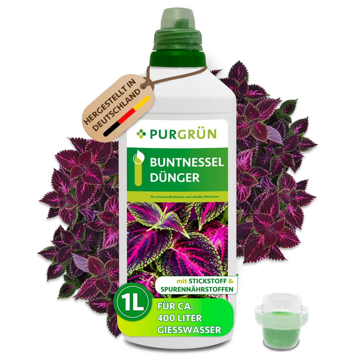 Purgrün Buntnessel-Dünger im 1-Liter-Gebinde mit Dosierkappe vor violett-grünen Buntnesselblättern; reicht für ca. 400 Liter Gießwasser.