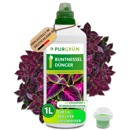 Purgrün Buntnessel-Dünger im 1-Liter-Gebinde mit Dosierkappe vor violett-grünen Buntnesselblättern; reicht für ca. 400 Liter Gießwasser.