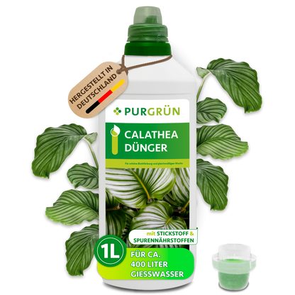 Purgrün Calathea-Dünger in der 1-Liter-Flasche mit Dosierkappe, umgeben von Calathea-Blättern und mit Anhänger „Hergestellt in Deutschland“.