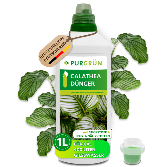 Purgrün Calathea-Dünger in der 1-Liter-Flasche mit Dosierkappe, umgeben von Calathea-Blättern und mit Anhänger „Hergestellt in Deutschland“.