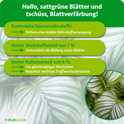 Essenzielle Spurennährstoffe sichern die Nährstoffversorgung; 7 % Stickstoff unterstützen neue Blätter und 6 % Kalium gleichmäßiges Wachstum sowie wichtige Stoffwechselprozesse.