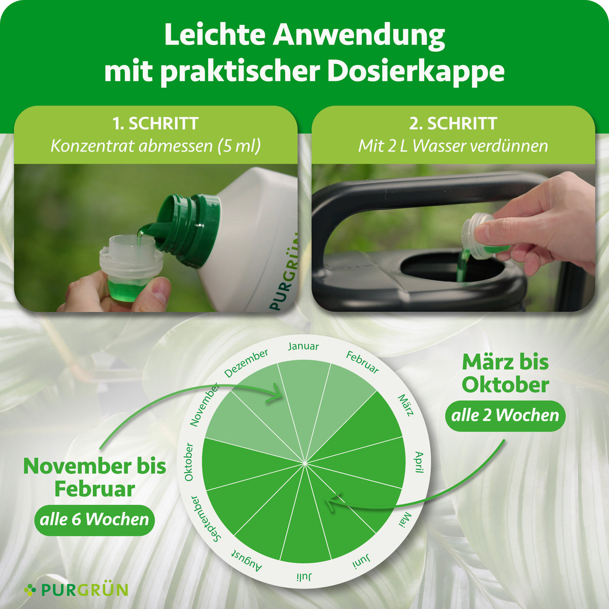 Anwendung: 5 ml Konzentrat abmessen und mit 2 l Wasser verdünnen. Von März bis Oktober alle 2 Wochen, von November bis Februar alle 6 Wochen düngen.