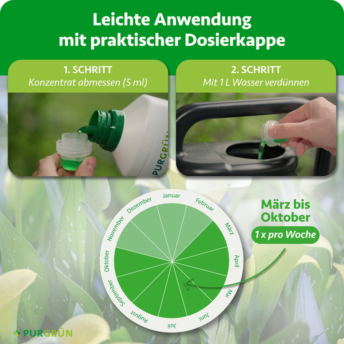 Anwendung: 5 ml Konzentrat abmessen, mit 1 Liter Wasser verdünnen und von März bis Oktober einmal pro Woche düngen.