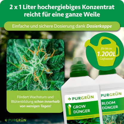 Zwei Flaschen Purgrün Cannabis-Dünger-Set 2 x 1 Liter vor blühender Pflanze, daneben Gießkanne mit Hinweis „für bis zu 1.200L Gießwasser“. Text hebt Wirksamkeit und einfache Dosierung hervor.