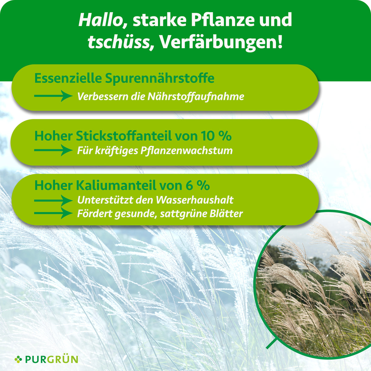 Essenzielle Spurennährstoffe verbessern die Nährstoffaufnahme; 10 % Stickstoff fördern kräftiges Pflanzenwachstum. 6 % Kalium unterstützen den Wasserhaushalt und fördern gesunde, sattgrüne Blätter.