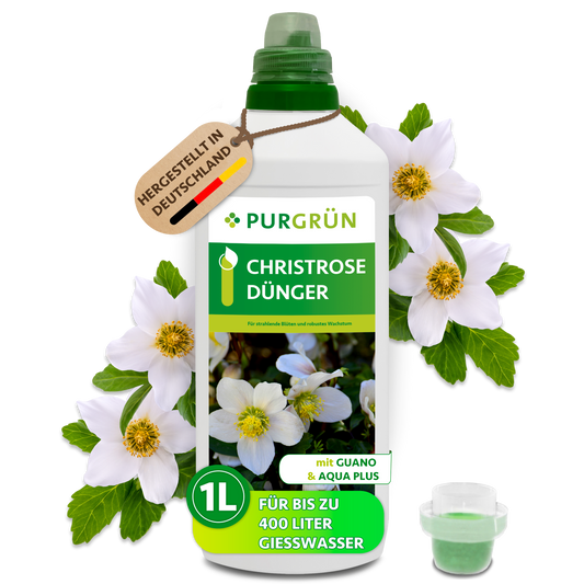 Purgrün Christrose-Dünger, 1 Liter, in weißer Flasche mit Dosierkappe; für bis zu 400 Liter Gießwasser.