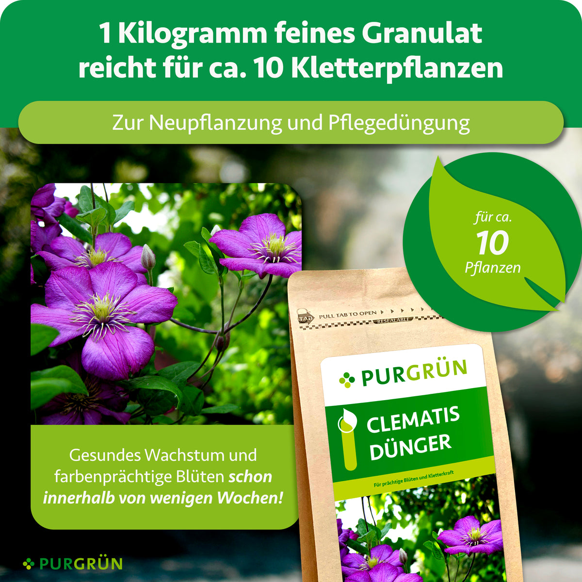 1 kg feines Granulat reicht für ca. 10 Kletterpflanzen und eignet sich zur Neupflanzung sowie Pflegedüngung.
