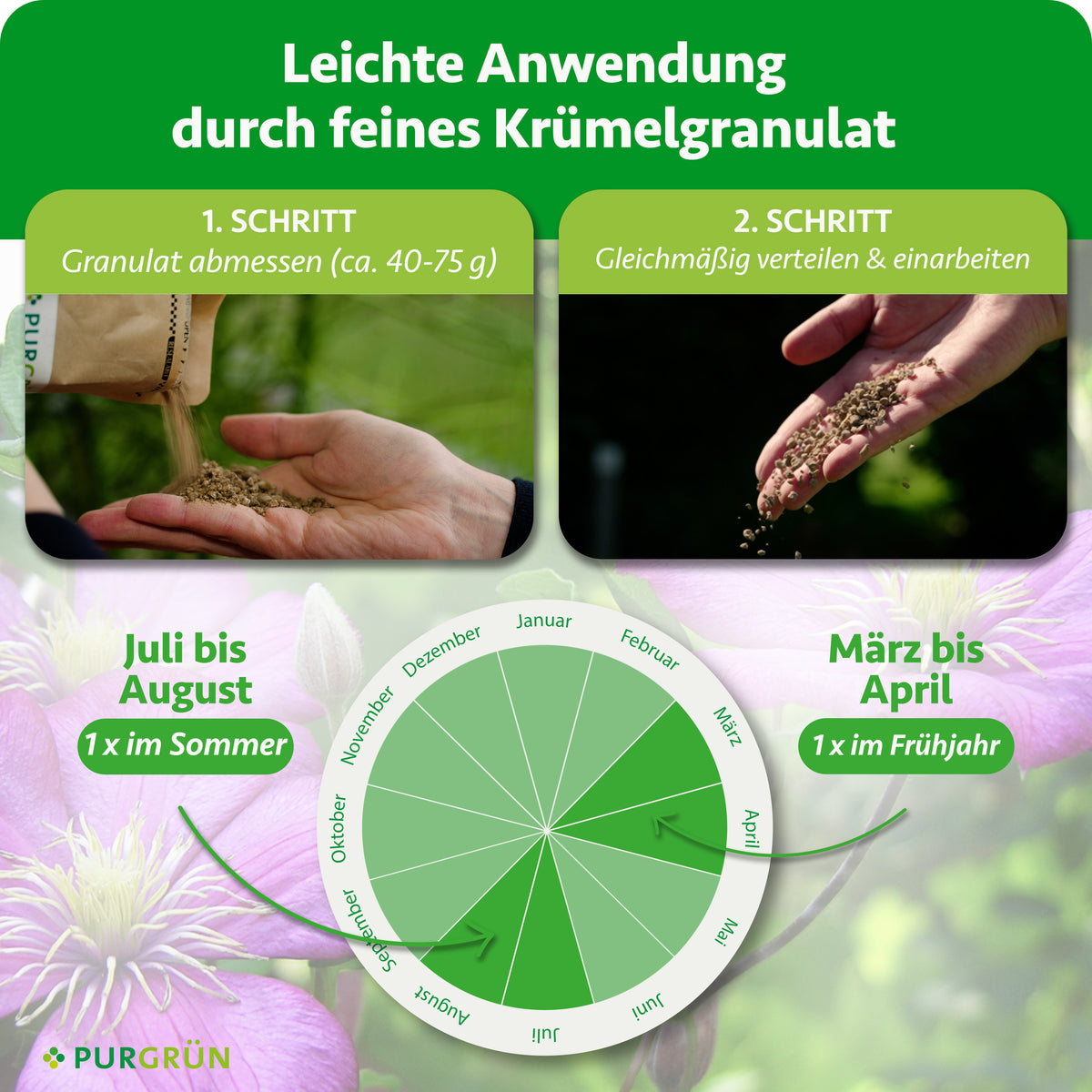 Anwendung: ca. 40–75 g Granulat abmessen, gleichmäßig verteilen und einarbeiten. Je einmal von März bis April und von Juli bis August düngen.