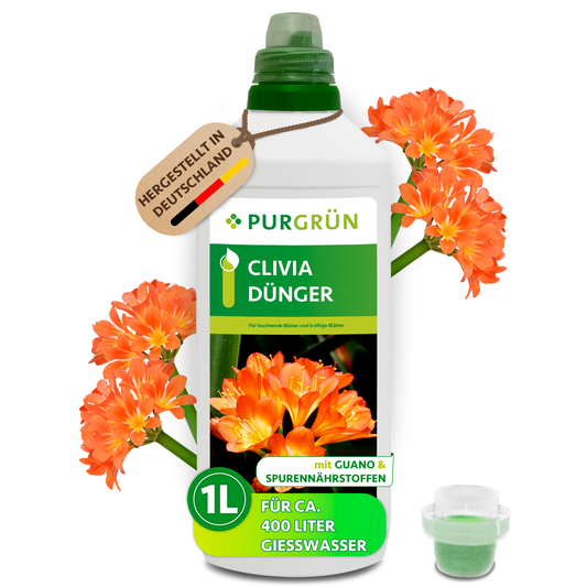 Purgrün Clivia-Dünger, 1 Liter, mit Dosierkappe und orangefarbenen Clivienblüten; ausreichend für ca. 400 Liter Gießwasser.