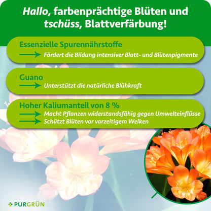 Essenzielle Spurennährstoffe fördern intensive Blatt- und Blütenpigmente, Guano unterstützt die natürliche Blühkraft. 8 % Kalium sollen vor Umwelteinflüssen und vorzeitigem Welken schützen.
