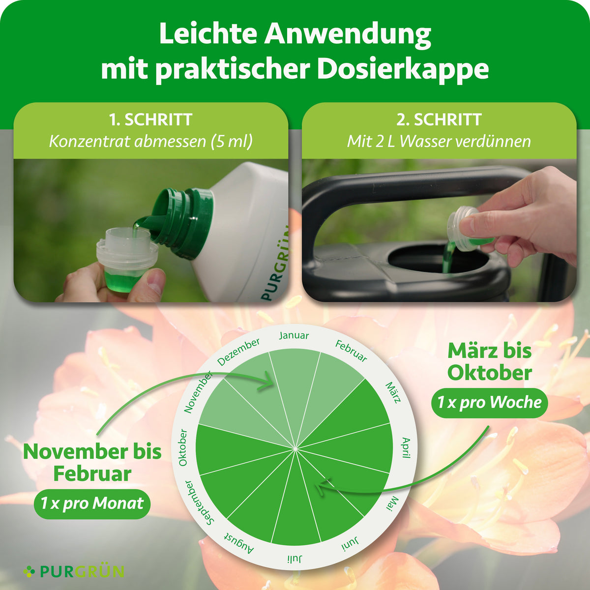 Anwendung: 5 ml Konzentrat abmessen und mit 2 L Wasser verdünnen. Von März bis Oktober einmal pro Woche, von November bis Februar einmal pro Monat düngen.