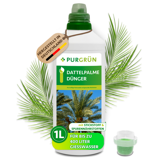 Purgrün Dattelpalme-Dünger in der 1-Liter-Flasche mit Dosierkappe; ausreichend für bis zu 400 Liter Gießwasser.