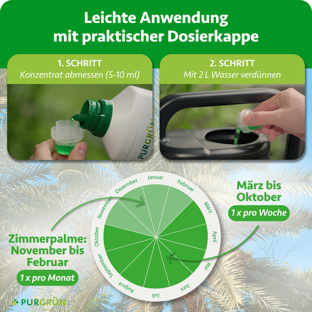 Anwendung: 5–10 ml Konzentrat abmessen und mit 2 Litern Wasser verdünnen. Von März bis Oktober einmal pro Woche, bei Zimmerpalmen von November bis Februar einmal pro Monat anwenden.