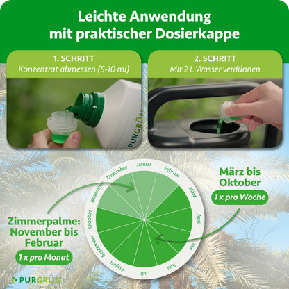 Anwendung: 5–10 ml Konzentrat abmessen und mit 2 Litern Wasser verdünnen. Von März bis Oktober einmal pro Woche, bei Zimmerpalmen von November bis Februar einmal pro Monat anwenden.