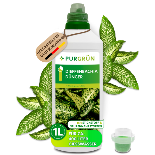 Purgrün Dieffenbachia-Dünger in der 1-Liter-Flasche mit Dosierkappe, umgeben von gemusterten Dieffenbachia-Blättern.