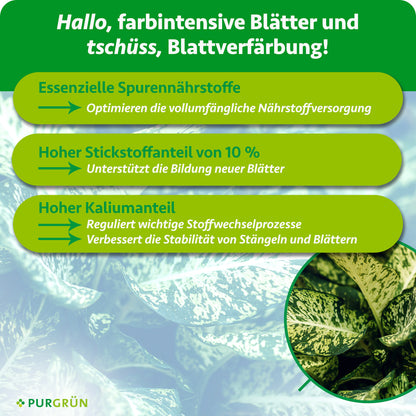 Essenzielle Spurennährstoffe, 10 % Stickstoff und ein hoher Kaliumanteil unterstützen Nährstoffversorgung, Blattbildung und Pflanzenstabilität.