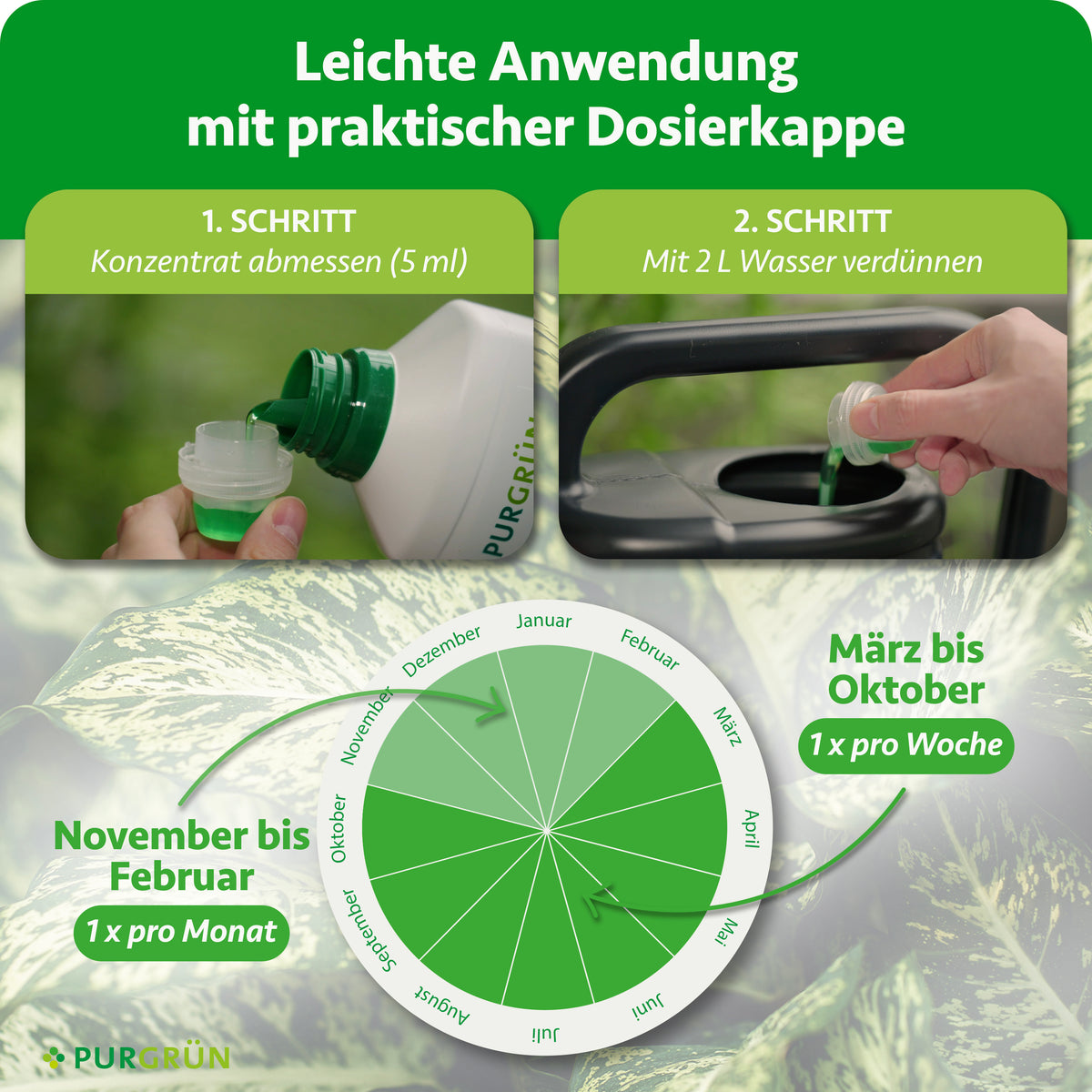 Anwendung: 5 ml Konzentrat mit 2 Litern Wasser verdünnen; März bis Oktober 1x pro Woche, November bis Februar 1x pro Monat.