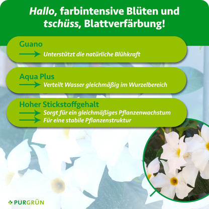 Guano unterstützt die natürliche Blühkraft, Aqua Plus verteilt Wasser gleichmäßig im Wurzelbereich; hoher Stickstoffgehalt fördert gleichmäßiges Wachstum und eine stabile Pflanzenstruktur.