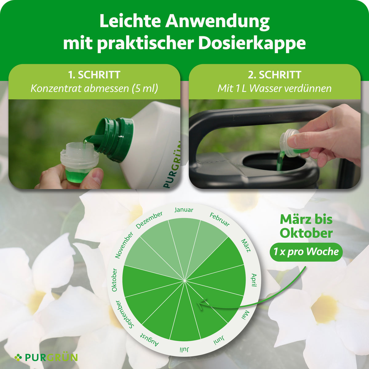Anwendung: 5 ml Konzentrat abmessen, mit 1 Liter Wasser verdünnen und von März bis Oktober einmal pro Woche düngen.