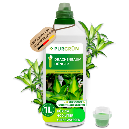 Purgrün Drachenbaum-Dünger, 1-Liter-Flasche mit Dosierkappe, hergestellt in Deutschland und ausreichend für ca. 400 Liter Gießwasser.