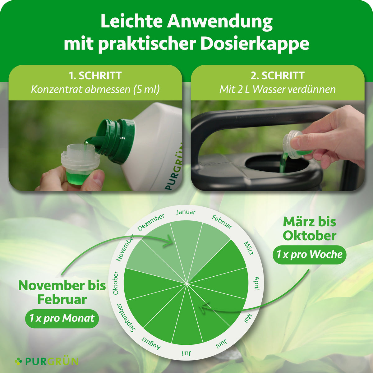 Anwendung: 5 ml Konzentrat abmessen und mit 2 Liter Wasser verdünnen. Von März bis Oktober 1× pro Woche, von November bis Februar 1× pro Monat düngen.