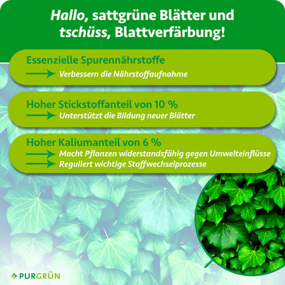 Essenzielle Spurennährstoffe verbessern die Nährstoffaufnahme, 10 % Stickstoff unterstützt die Bildung neuer Blätter und 6 % Kalium stärkt Widerstandskraft und Stoffwechselprozesse.