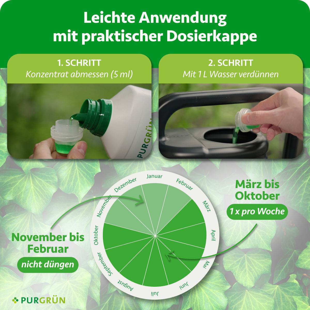 5 ml Konzentrat abmessen und mit 1 Liter Wasser verdünnen. Von März bis Oktober einmal pro Woche düngen, von November bis Februar nicht düngen.