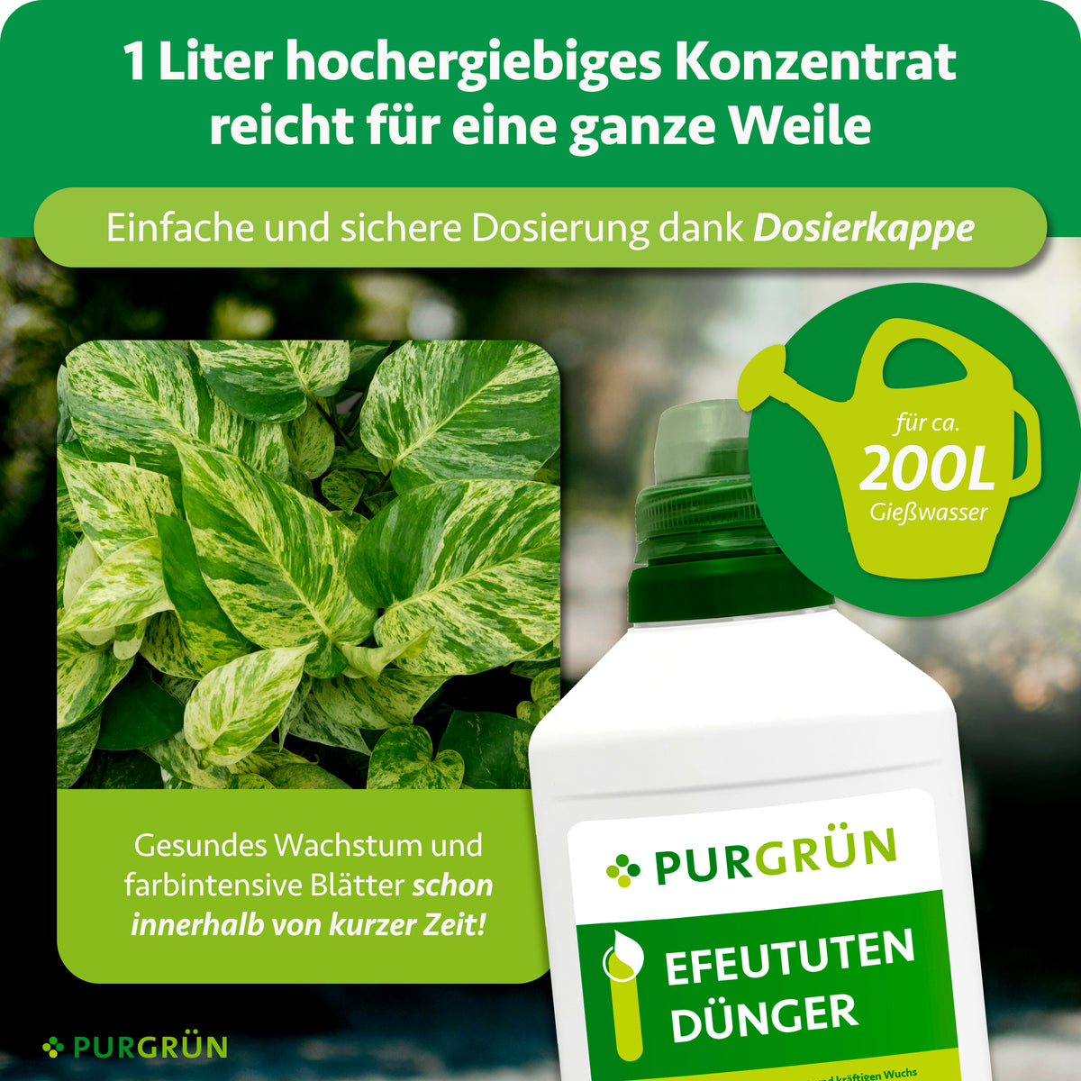 Ein Liter hochergiebiges Efeututen-Dünger-Konzentrat reicht für ca. 200 Liter Gießwasser und lässt sich mit der Dosierkappe einfach dosieren.