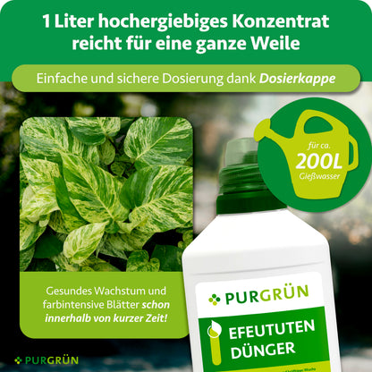 Ein Liter hochergiebiges Efeututen-Dünger-Konzentrat reicht für ca. 200 Liter Gießwasser und lässt sich mit der Dosierkappe einfach dosieren.