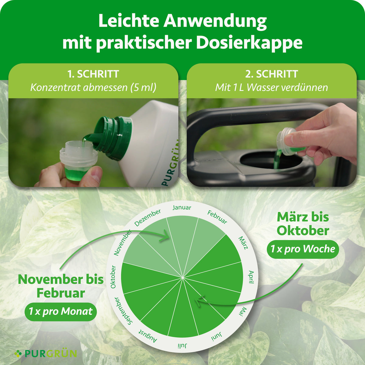 Anwendung: 5 ml Konzentrat mit 1 Liter Wasser verdünnen; von März bis Oktober einmal pro Woche, von November bis Februar einmal pro Monat düngen.