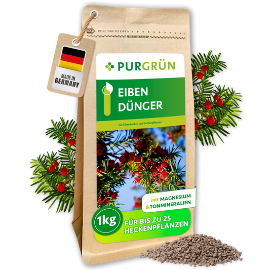 Purgrün Eibendünger im 1-kg-Standbeutel, umgeben von Eibenzweigen mit roten Früchten und feinem Granulat.