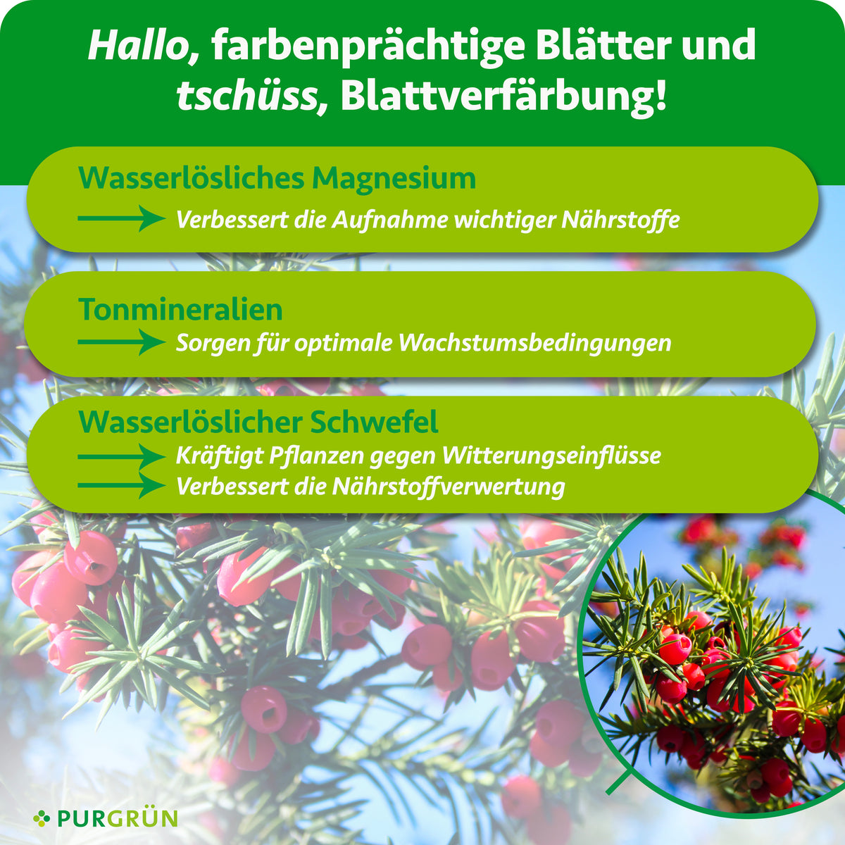 Wasserlösliches Magnesium verbessert die Nährstoffaufnahme, Tonmineralien fördern optimale Wachstumsbedingungen. Wasserlöslicher Schwefel kräftigt die Pflanzen und verbessert die Nährstoffverwertung.