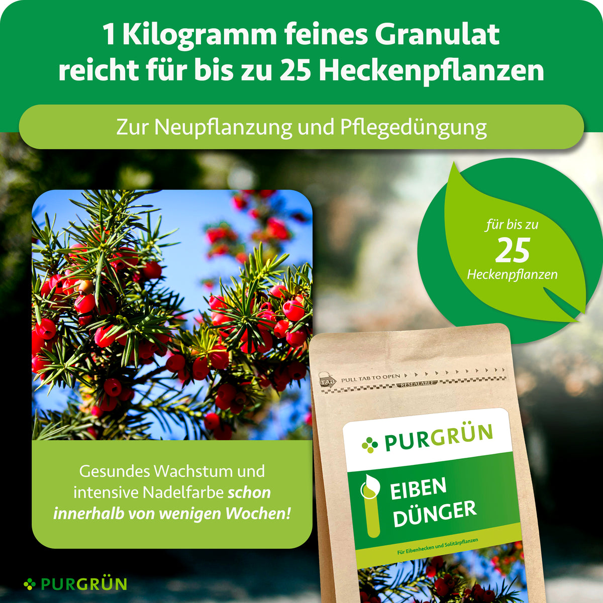 1 kg feines Granulat reicht zur Neu- und Pflegepflanzung für bis zu 25 Heckenpflanzen. Es fördert gesundes Wachstum und intensive Nadelfarbe innerhalb weniger Wochen.
