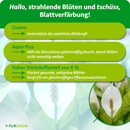 Guano unterstützt die natürliche Blühkraft, Aqua Plus hält die Wurzelzone gleichmäßig feucht. 8 % Stickstoff fördern sattgrüne Blätter und gleichmäßiges Wachstum.