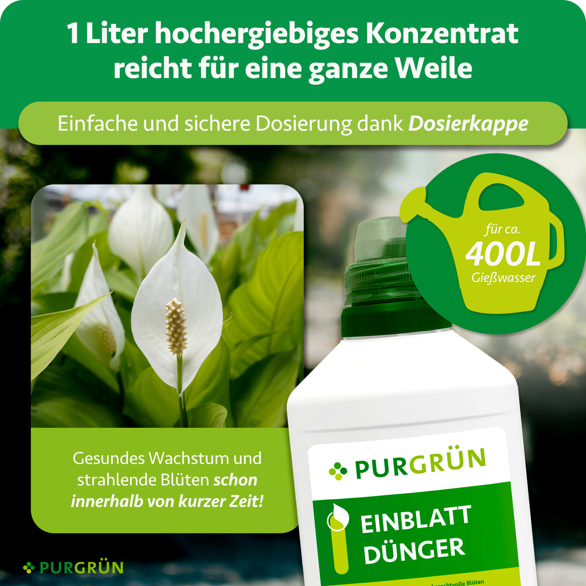 1 Liter hochergiebiges Konzentrat mit Dosierkappe reicht laut Infografik für ca. 400 Liter Gießwasser.
