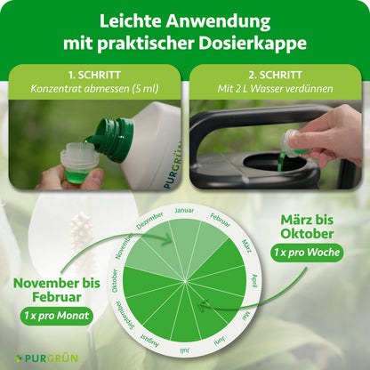 Anwendung: 5 ml Konzentrat abmessen und mit 2 Litern Wasser verdünnen; März bis Oktober einmal pro Woche, November bis Februar einmal pro Monat düngen.