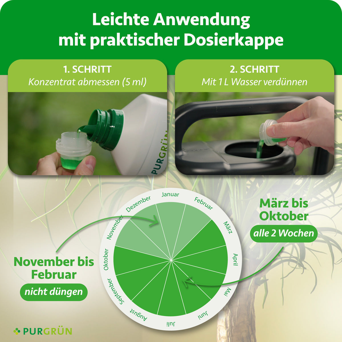 Anwendung: 5 ml Konzentrat abmessen und mit 1 Liter Wasser verdünnen. Von März bis Oktober alle 2 Wochen düngen, von November bis Februar nicht düngen.