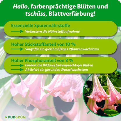 Spurennährstoffe verbessern die Nährstoffaufnahme; 10 % Stickstoff fördern gleichmäßiges Wachstum, 8 % Phosphor farbenprächtige Blüten und gesundes Wurzelwachstum.